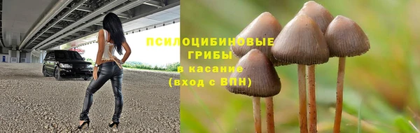 прущий лед Армянск