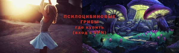 прущий лед Армянск